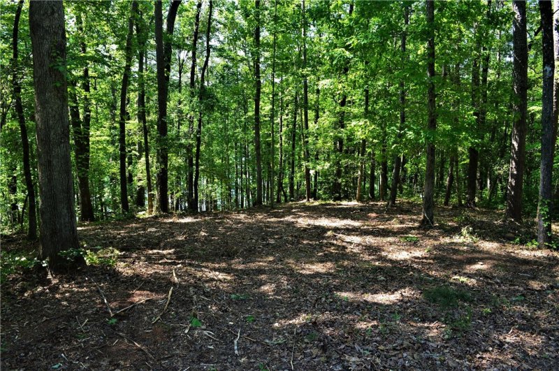 Property image 3 at 564 Riverstone Drive, Salem, SC 29676