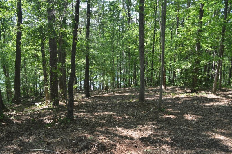 Property image 4 at 564 Riverstone Drive, Salem, SC 29676