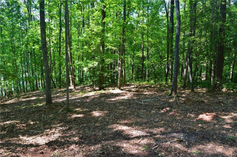 Property image 5 at 564 Riverstone Drive, Salem, SC 29676