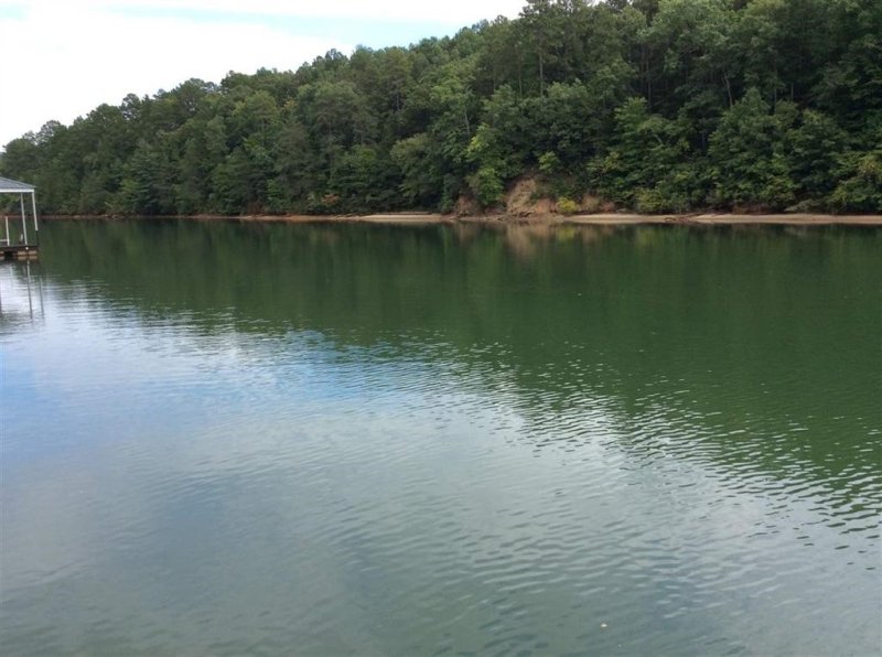 Property image 3 at Lot 78 Riverstone Drive, Salem, SC 29676