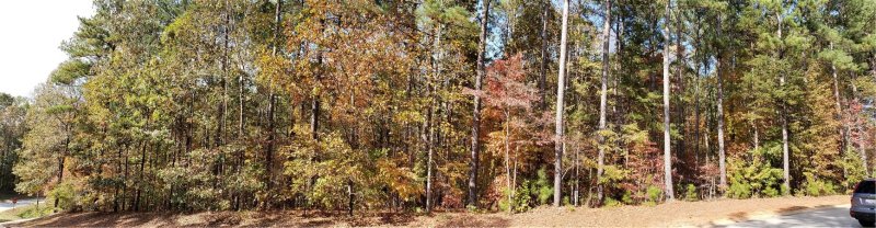 Property image 2 at Lot 147 Waterside Crossing, Seneca, SC 29672