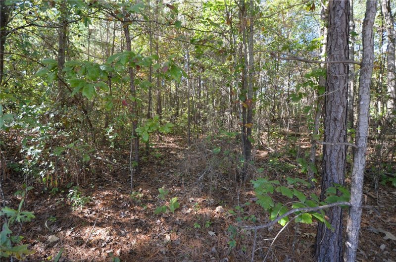 Property image 2 at Lot 3 Parkview Drive, Fair Play, SC 29643