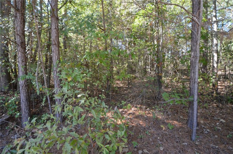 Property image 5 at Lot 3 Parkview Drive, Fair Play, SC 29643