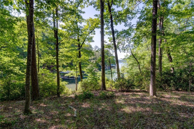 Property image 5 at 132 Big Creek Trail, Six Mile, SC 29682