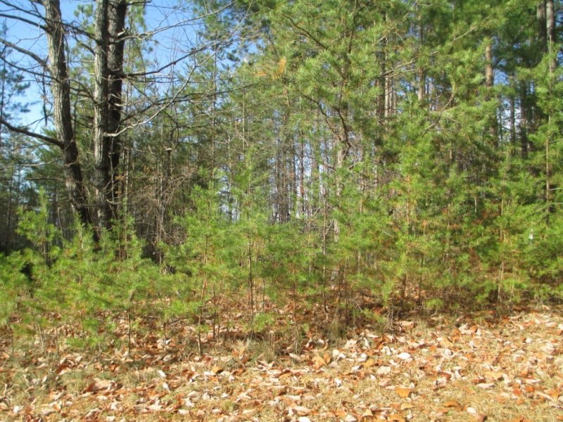 261 Jocassee Ridge Way