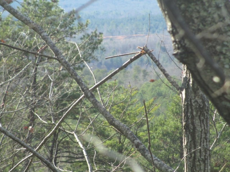 Property image 4 at 261 Jocassee Ridge Way, Salem, SC 29676