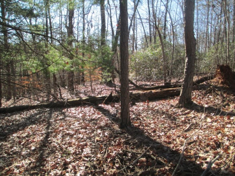 Property image 5 at 235 Bay View Drive, Salem, SC 29676