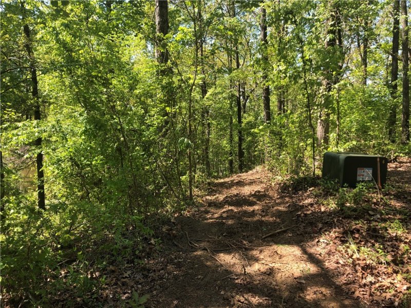 Property image 3 at Lot 12 McLane Court, Fair Play, SC 29643