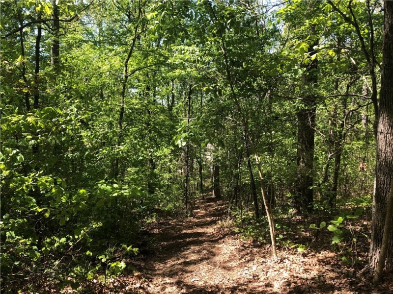 Property image 5 at Lot 12 McLane Court, Fair Play, SC 29643