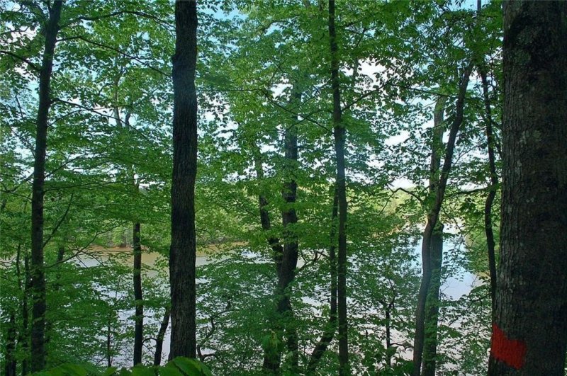 Property image 3 at 14 Pointe Wildwood Road, Seneca, SC 29678