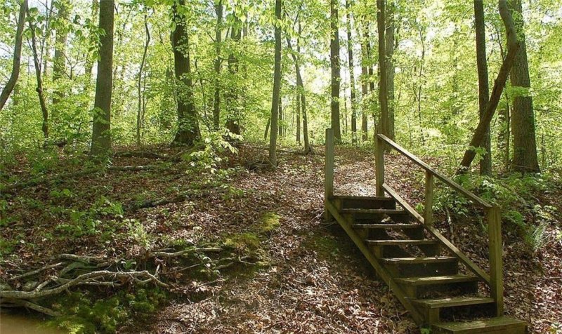 Property image 5 at 14 Pointe Wildwood Road, Seneca, SC 29678