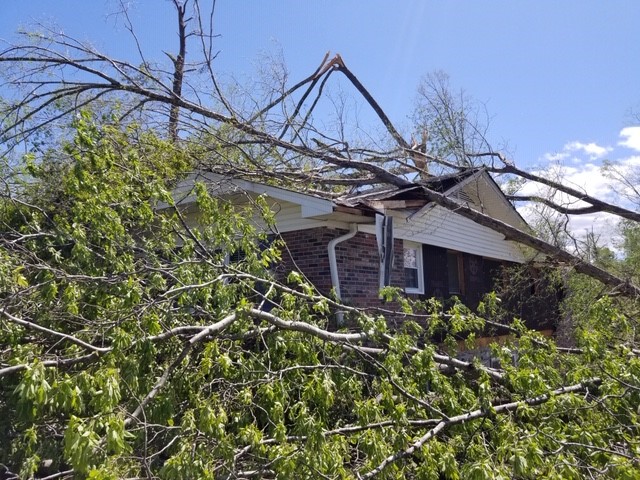 Property image 4 at 816 Ploma Drive, Seneca, SC 29678