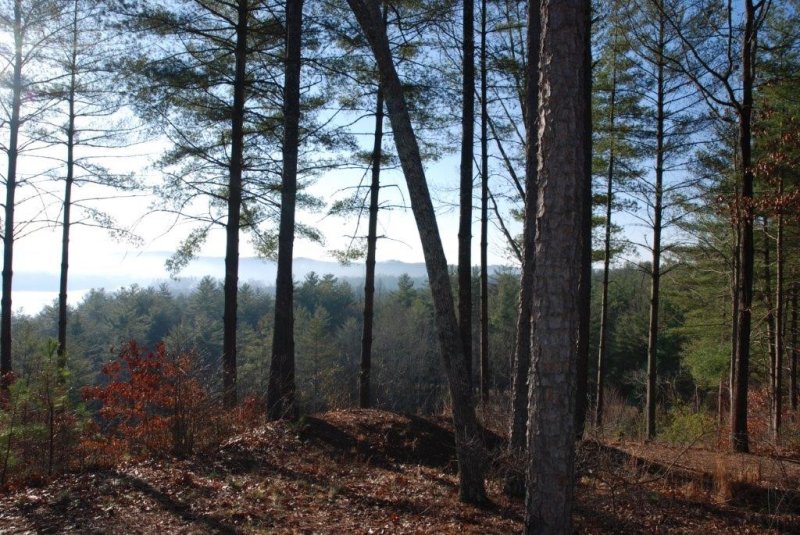 Property image 4 at 703 High Ridge Way, Salem, SC 29676