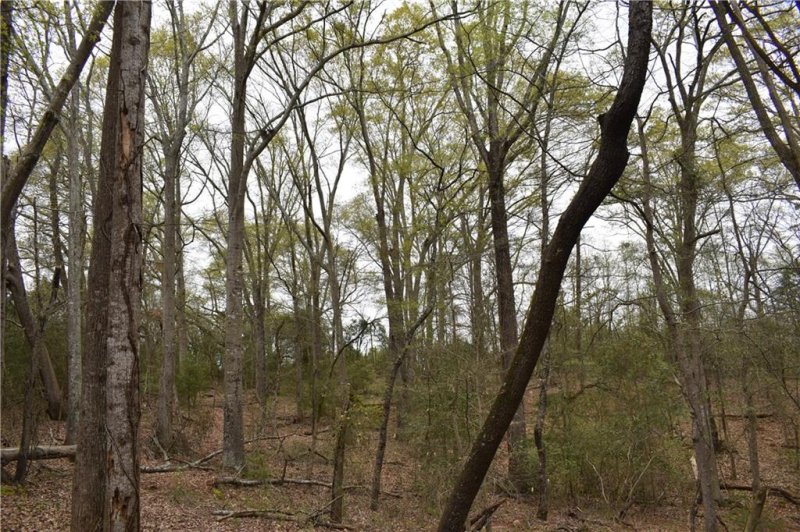 Property image 3 at 1021/1023 Shore Drive, Anderson, SC 29625