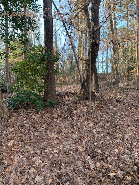 Property image 2 at Lot 128 Apollo Drive, Seneca, SC 29672