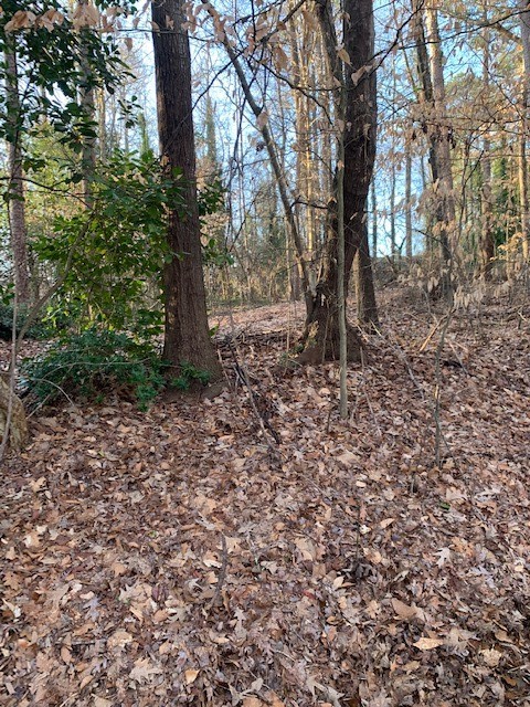 Property image 3 at Lot 128 Apollo Drive, Seneca, SC 29672