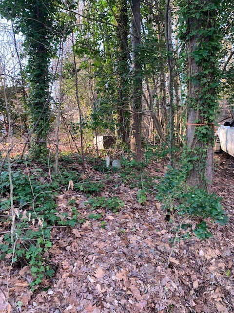 Property image 4 at Lot 128 Apollo Drive, Seneca, SC 29672