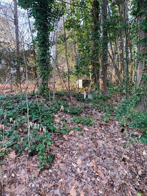 Property image 5 at Lot 128 Apollo Drive, Seneca, SC 29672