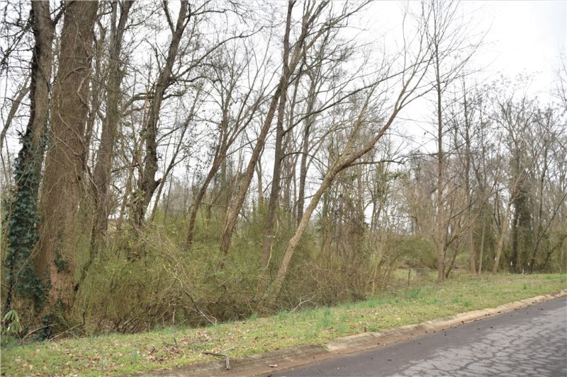 Property image 4 at 303 Regency Circle, Anderson, SC 29625