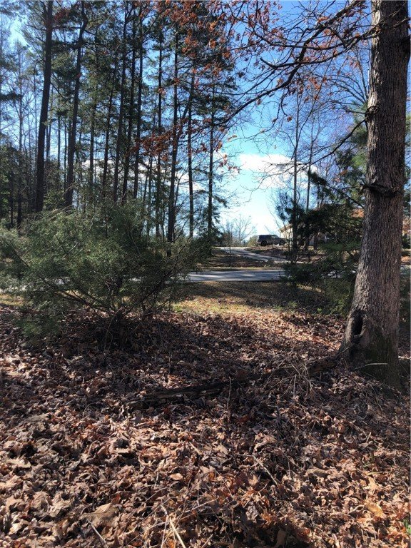 Property image 2 at 00 lot 35& 36 Long Bay Drive, West Union, SC 29696