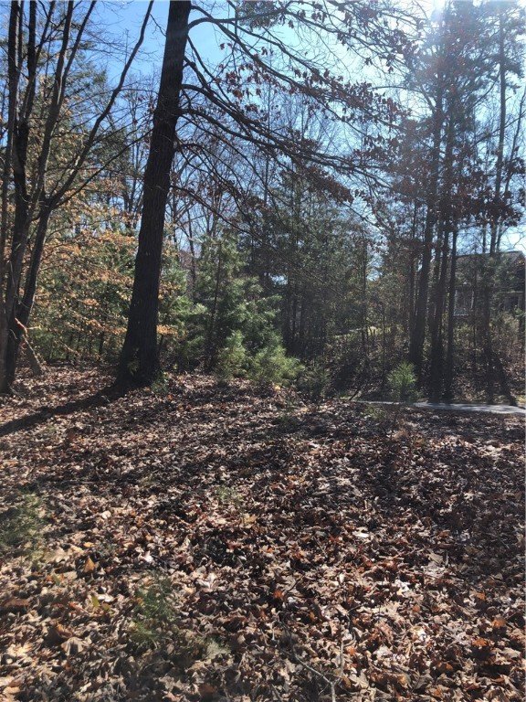 Property image 3 at 00 lot 35& 36 Long Bay Drive, West Union, SC 29696