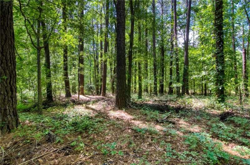 Property image 2 at 00 Kingsboro Road, Anderson, SC 29626