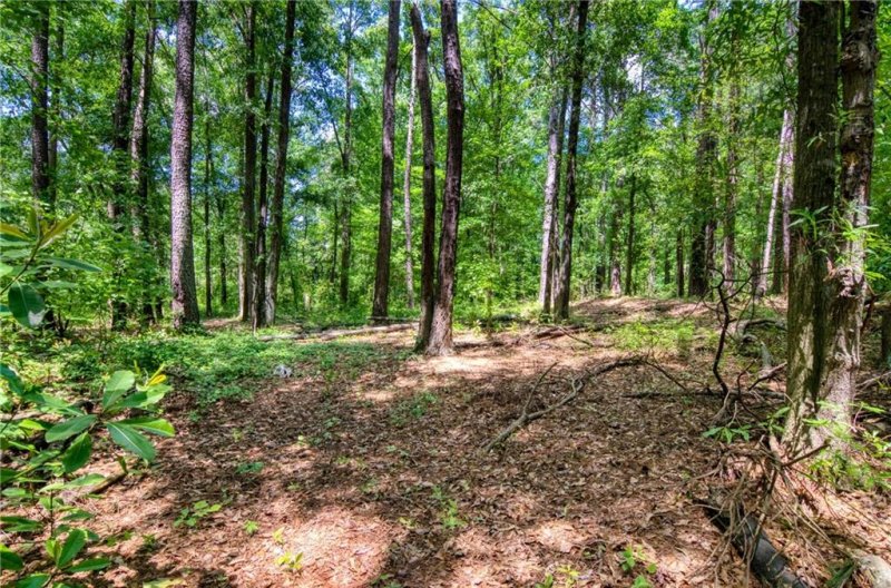 Property image 3 at 00 Kingsboro Road, Anderson, SC 29626