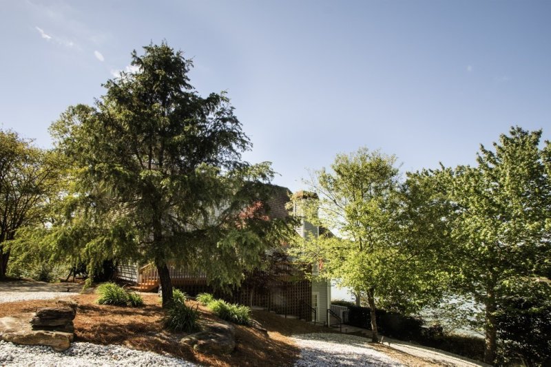 Property image 4 at 255 Jumping Branch Road, Tamassee, SC 29686