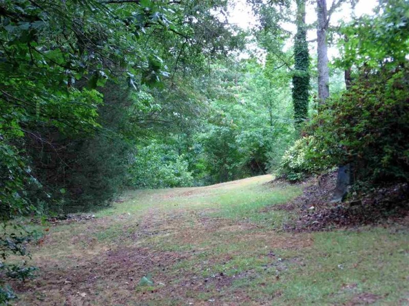 Property image 4 at 201 Singleton Drive, Townville, SC 29689