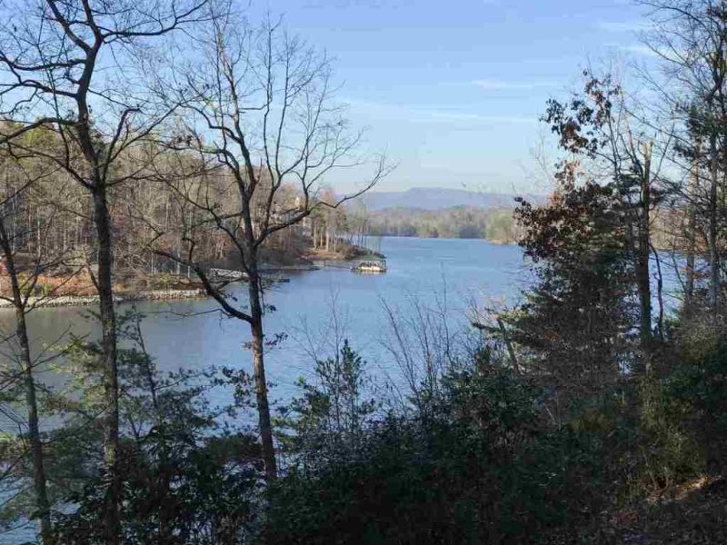 Property image 5 at 346 Long Cove Trail, Salem, SC 29676