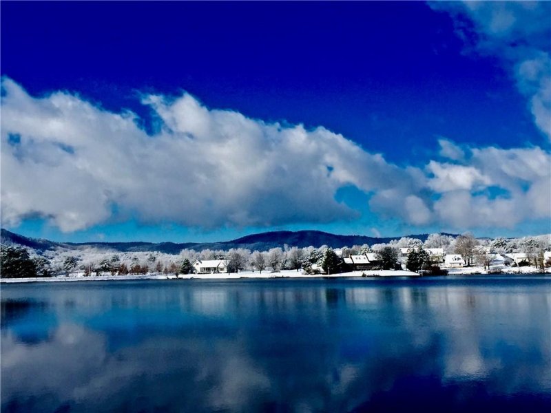 Property image 5 at 519 The Bear Boulevard, Tamassee, SC 29686