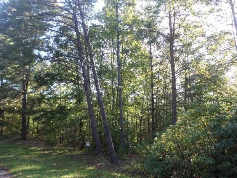 Property image 2 at 315 Ginseng Drive, Sunset, SC 29685