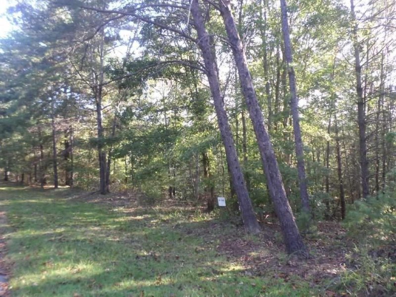 Property image 3 at 315 Ginseng Drive, Sunset, SC 29685