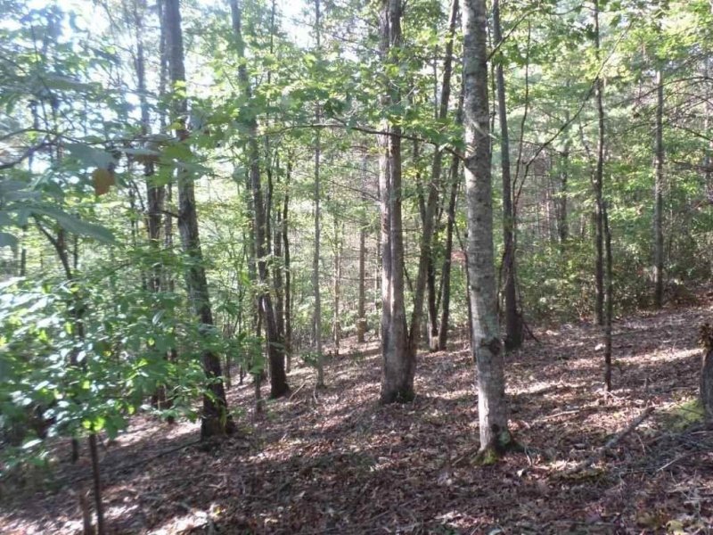 Property image 4 at 315 Ginseng Drive, Sunset, SC 29685