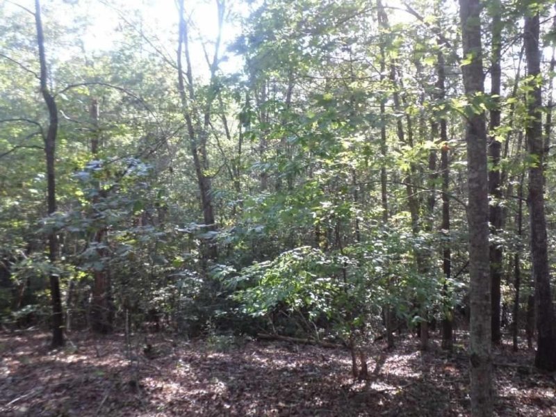 Property image 5 at 315 Ginseng Drive, Sunset, SC 29685