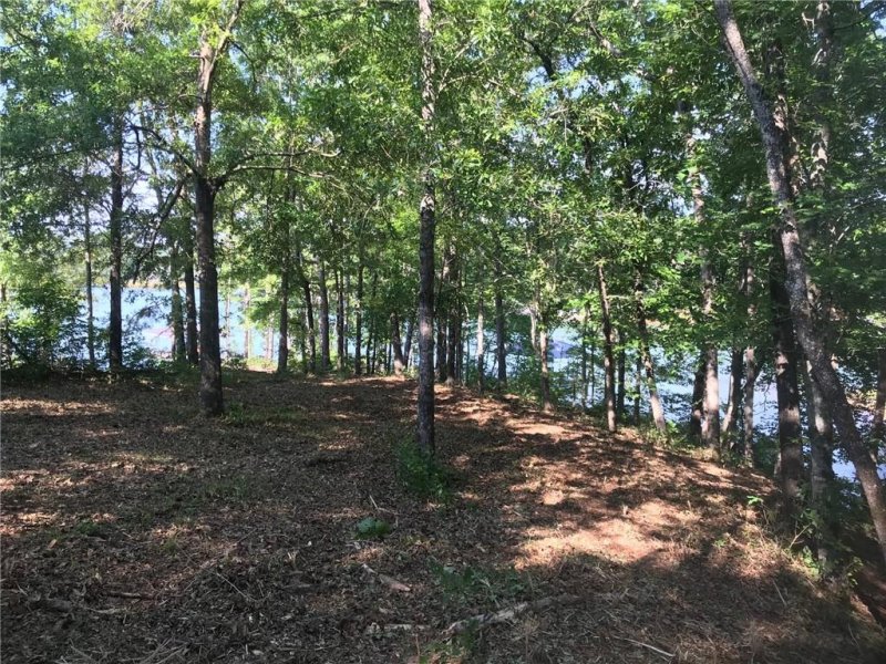 Property image 3 at Lot 71 & 72 McAlister Road in Peninsula Pointe Road, West Union, SC 29696