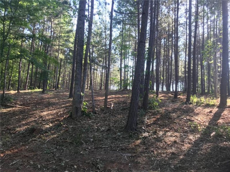 Property image 4 at Lot 71 & 72 McAlister Road in Peninsula Pointe Road, West Union, SC 29696