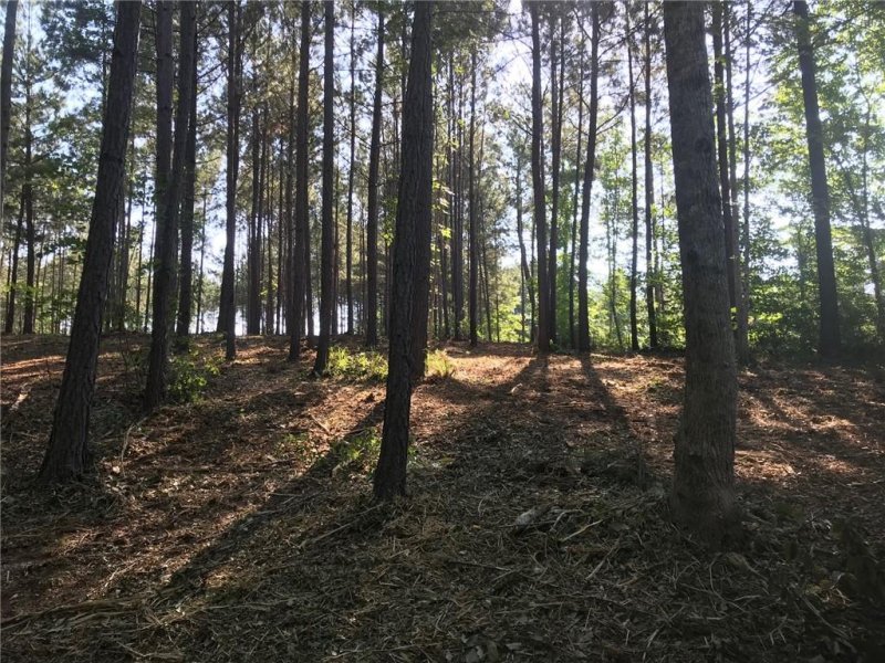 Property image 5 at Lot 71 & 72 McAlister Road in Peninsula Pointe Road, West Union, SC 29696