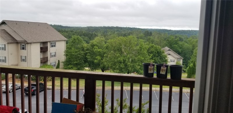 Property image 4 at 1423 Harts Ridge Drive, Seneca, SC 29678