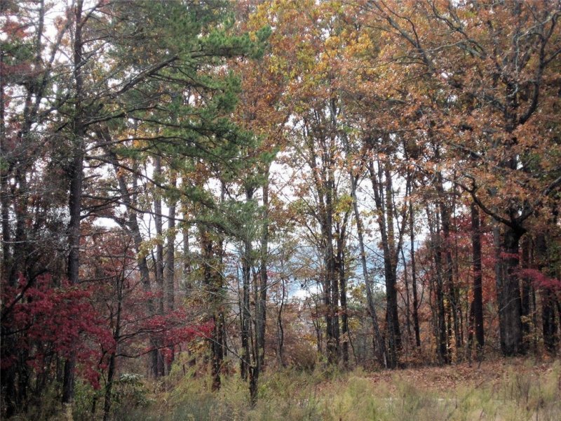 Property image 5 at Lot 194 Westlake Drive, Seneca, SC 29672