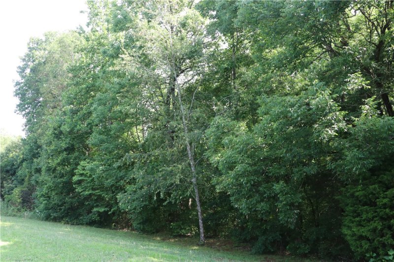 Property image 4 at 0 Deerfield Lane, Seneca, SC 29678