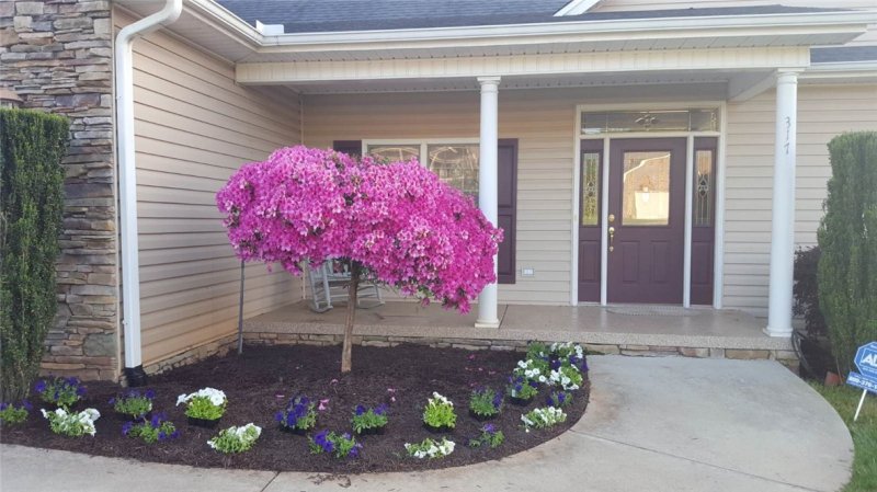 Property image 3 at 317 Ravens View Drive, Seneca, SC 29678