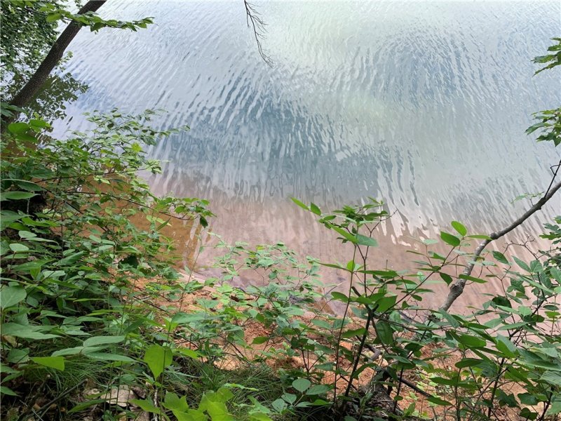 Property image 5 at 00 Pointe Wildwood Drive, Seneca, SC 29678