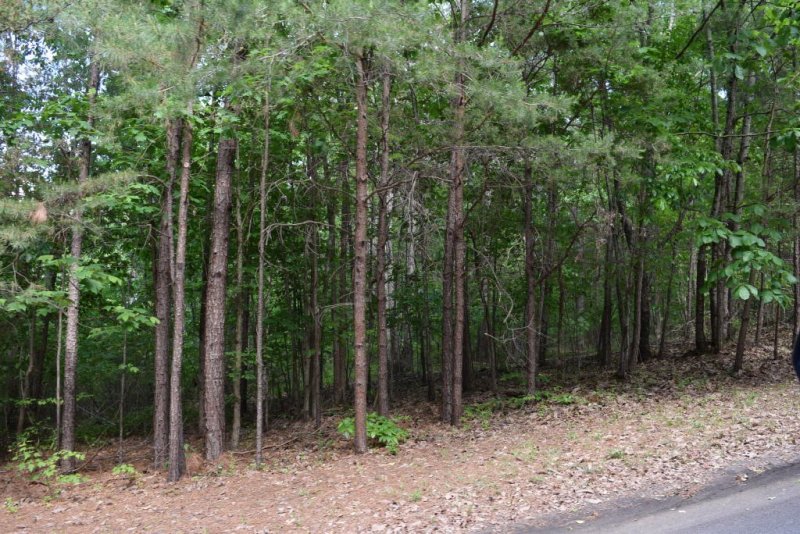 Property image 2 at 207 Long View Lane, Pickens, SC 29671