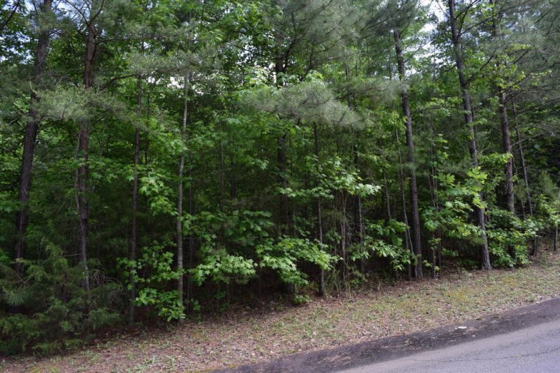 Property image 4 at 207 Long View Lane, Pickens, SC 29671