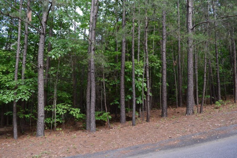 Property image 5 at 207 Long View Lane, Pickens, SC 29671