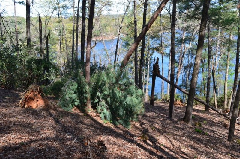 Property image 2 at 903 Redwing Lane, Salem, SC 29676