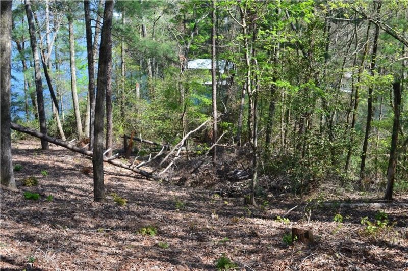 Property image 3 at 903 Redwing Lane, Salem, SC 29676
