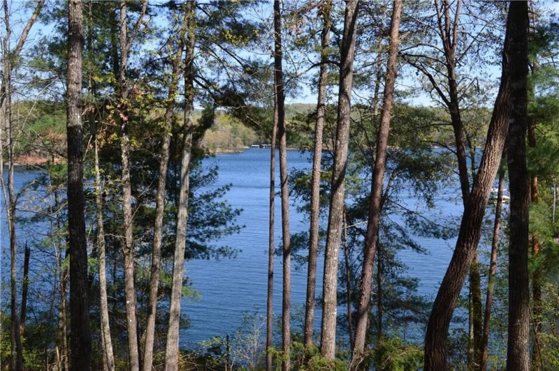 Property image 4 at 903 Redwing Lane, Salem, SC 29676