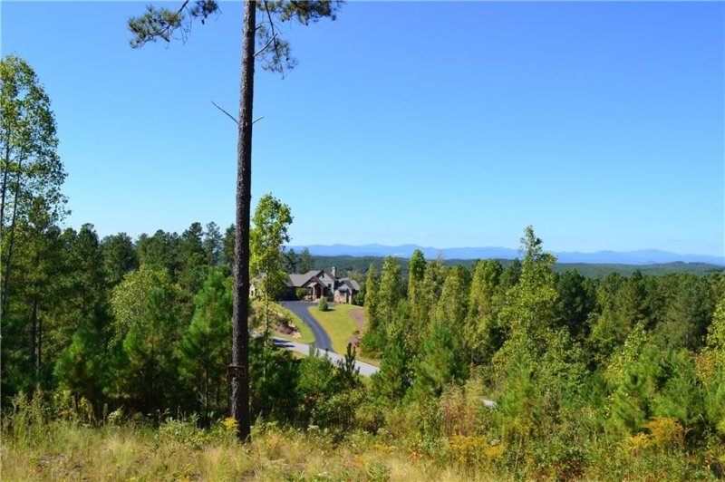 115 Hickory Springs Way